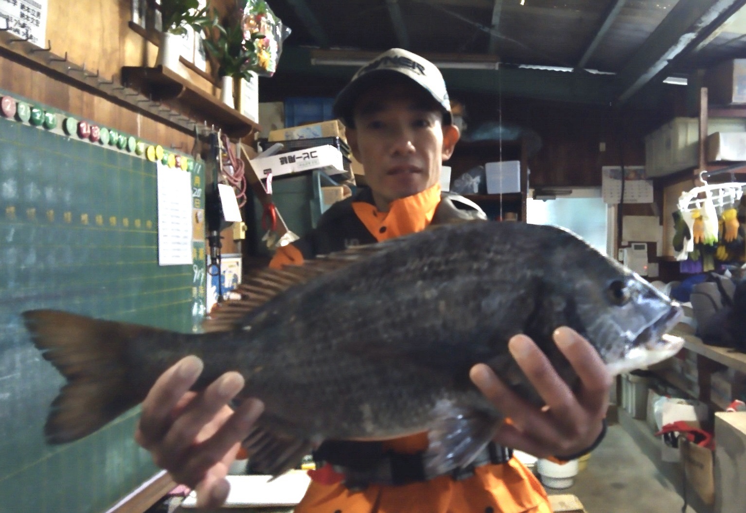 折戸湾で年無しを含む大釣り*\(^o^)/*サムネイル