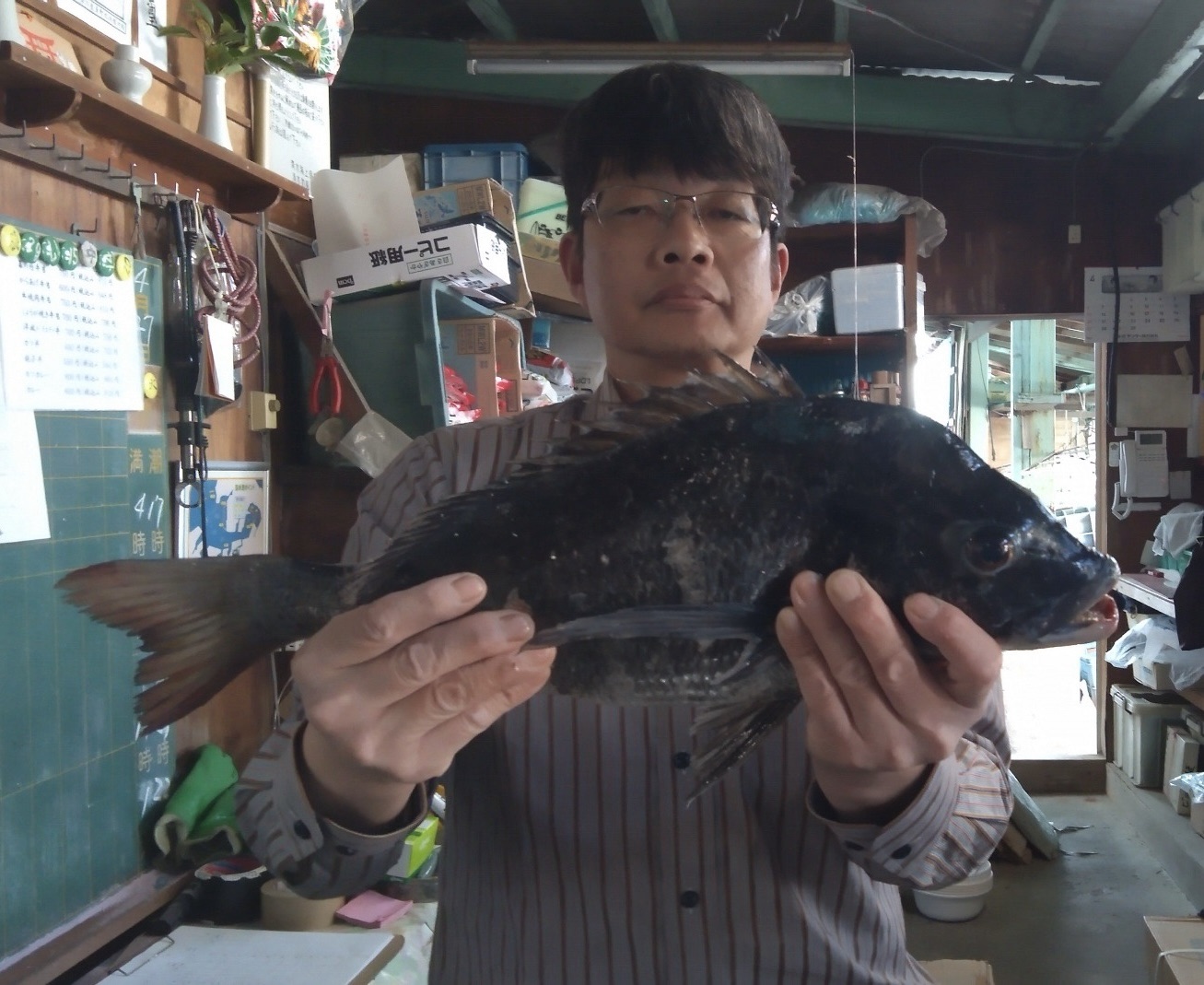 貯木場で久々に年無しが釣れた*\(^o^)/*サムネイル