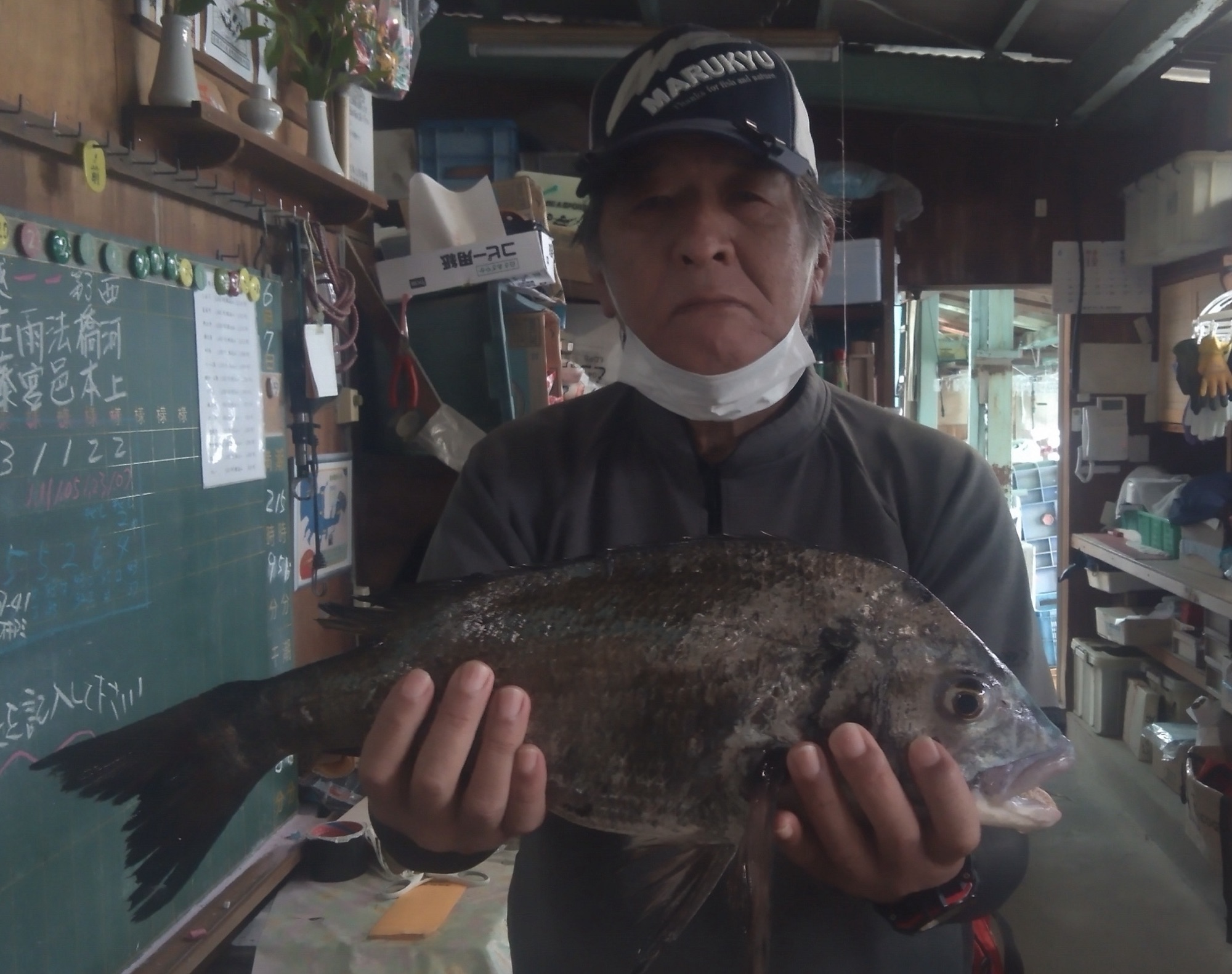 各所でクロダイ釣れて絶好調(((o(*ﾟ▽ﾟ*)o)))♡サムネイル