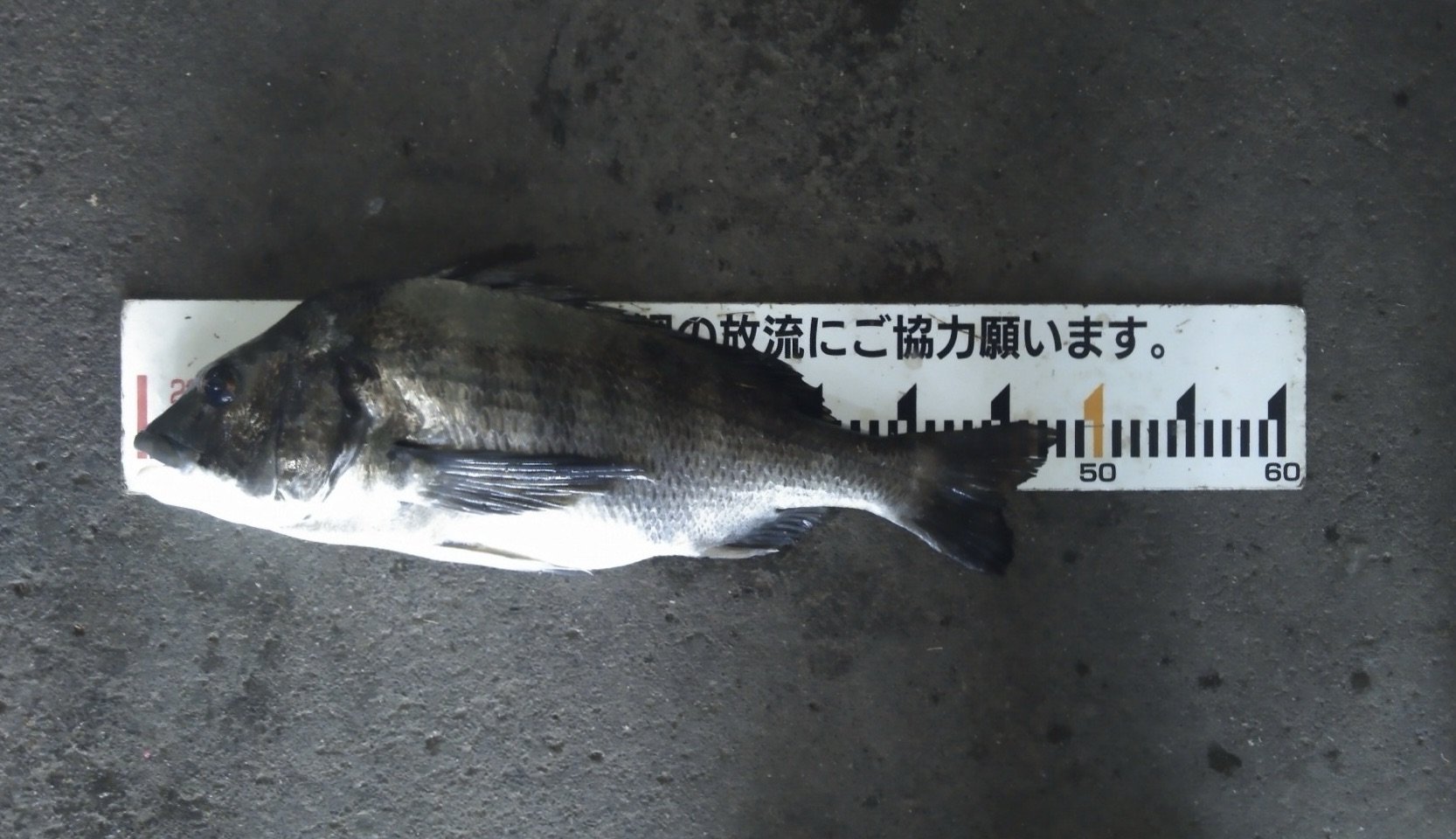 今月最終営業日(^^)サムネイル