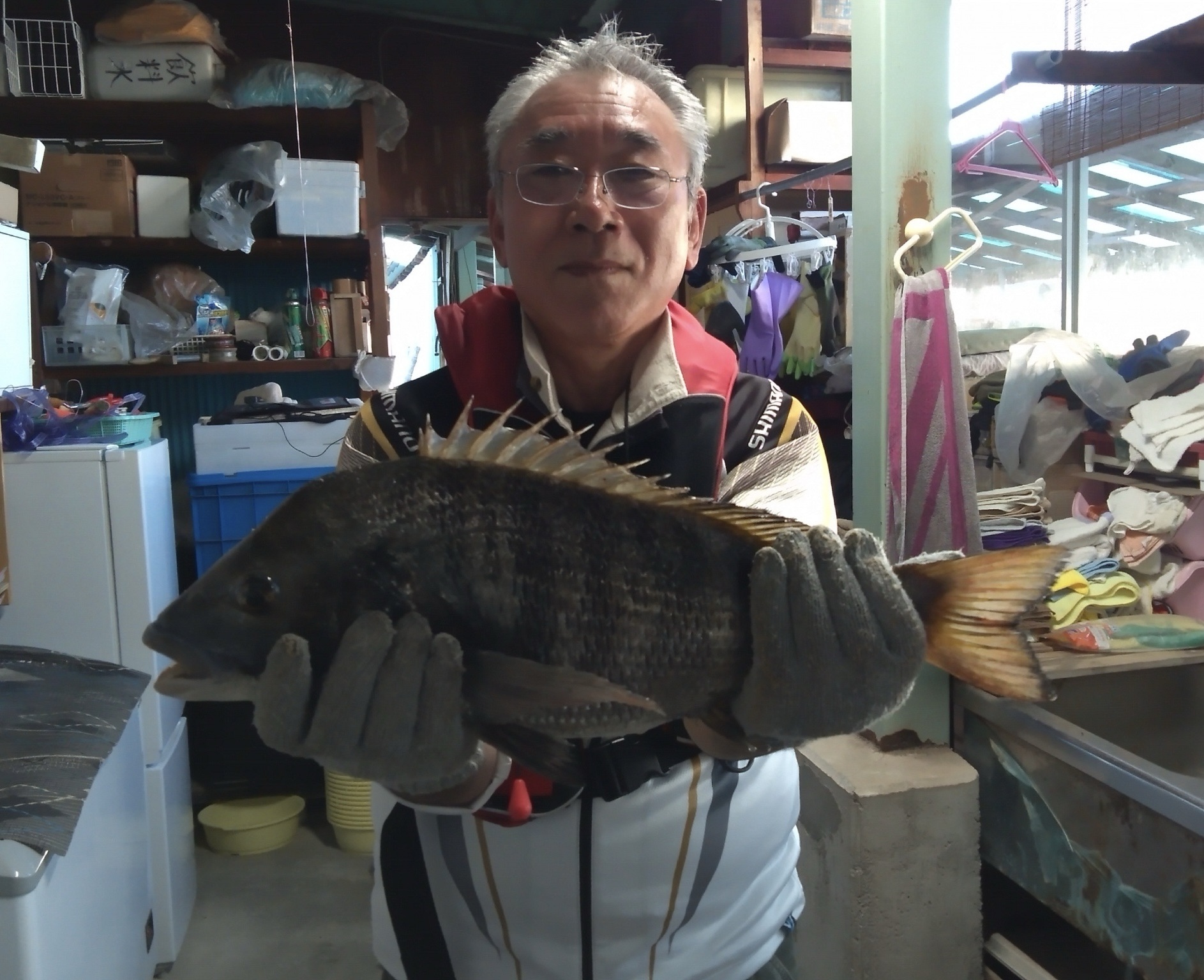 今月最大の年無しが釣れた(((o(*゚▽゚*)o)))♡サムネイル