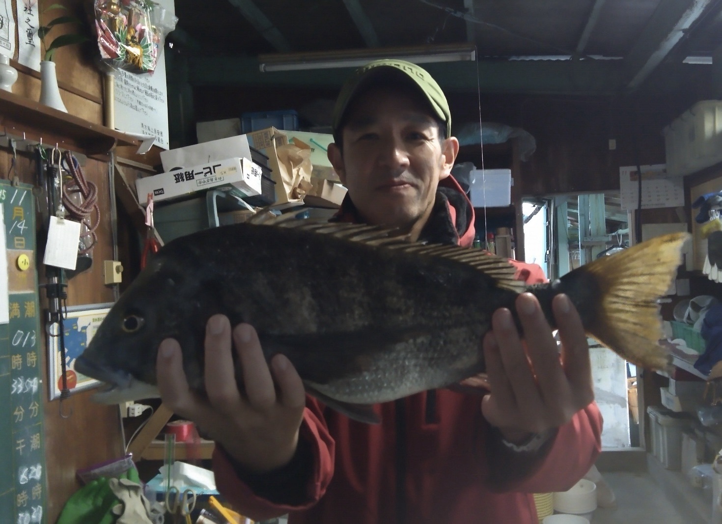 今月最大年無しが貯木場で釣れた*\(^o^)/*サムネイル