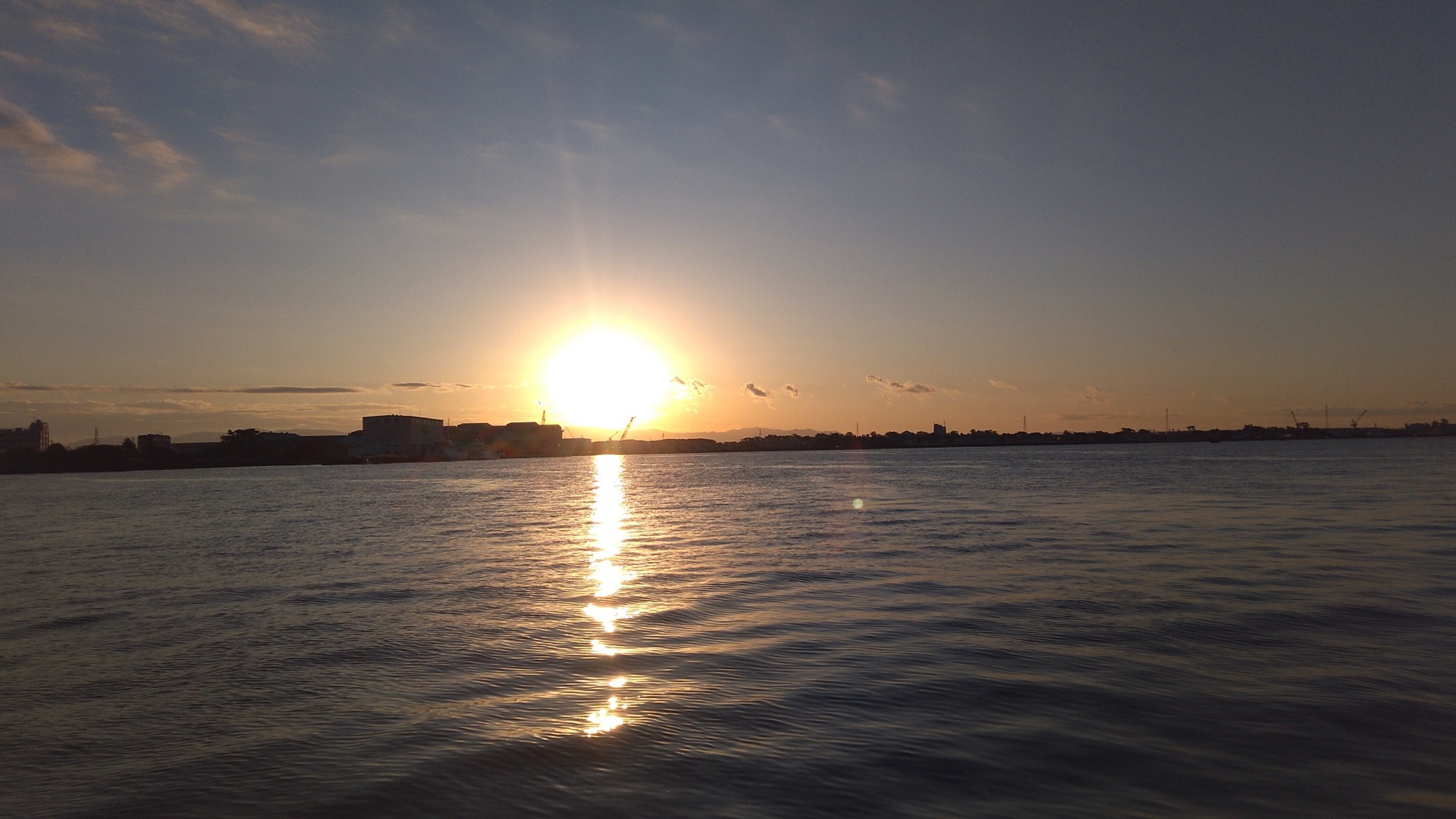 午後から活性が上がる(^^)サムネイル