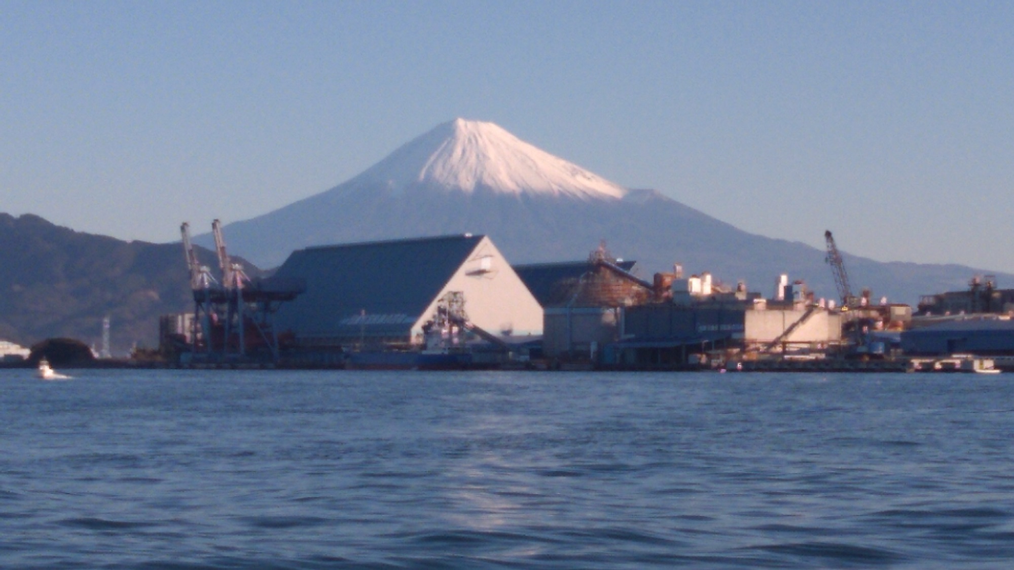 一文字堤で久々に2kg超えの歳無しが釣れた(((o(*゚▽゚*)o)))♡サムネイル