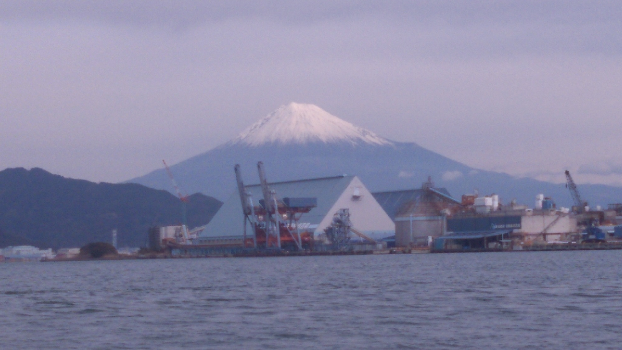 ボラの猛襲にあって大苦戦∑(゚Д゚)サムネイル