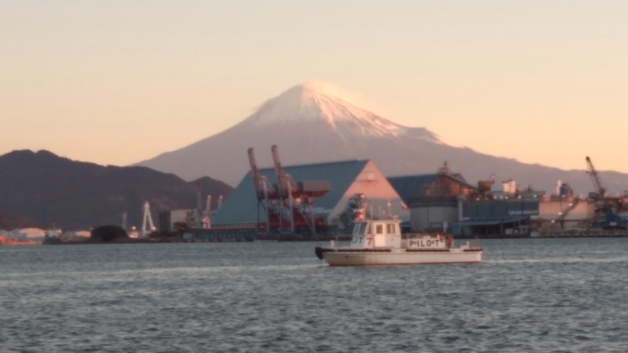 冷たい風が強く吹きましたね(°▽°)サムネイル