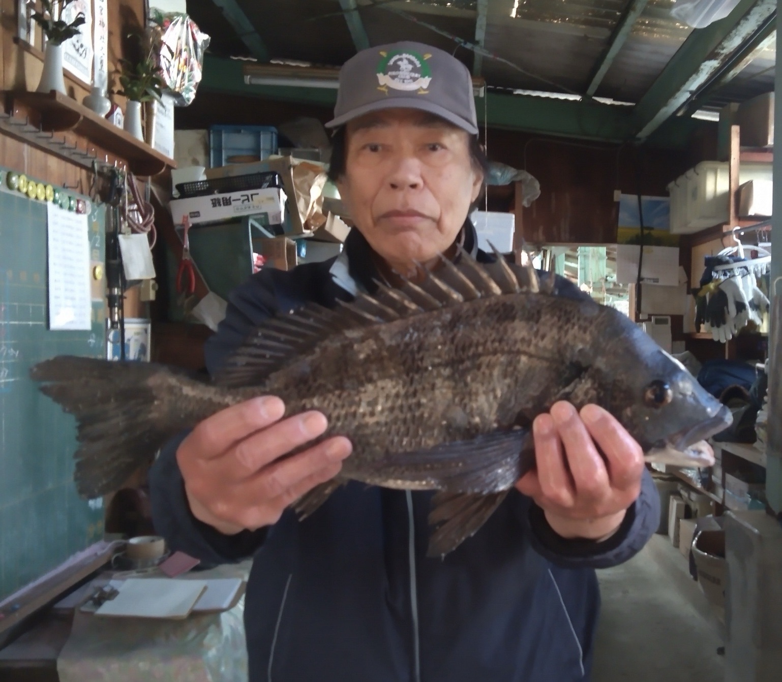 折戸で大物爆釣、貯木場で年無しが釣れましたよ*\(^o^)/*サムネイル