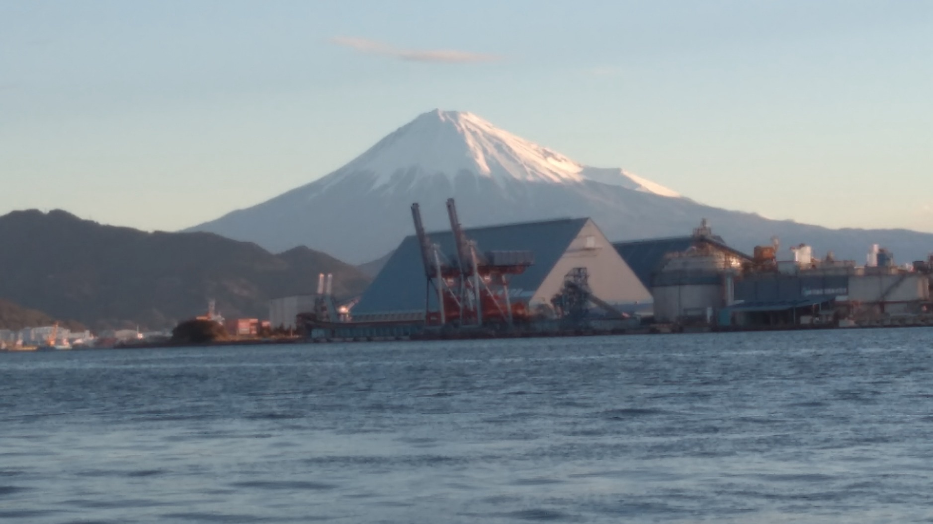 いつもより活性が高くありませんでしたʅ（◞‿◟）ʃサムネイル