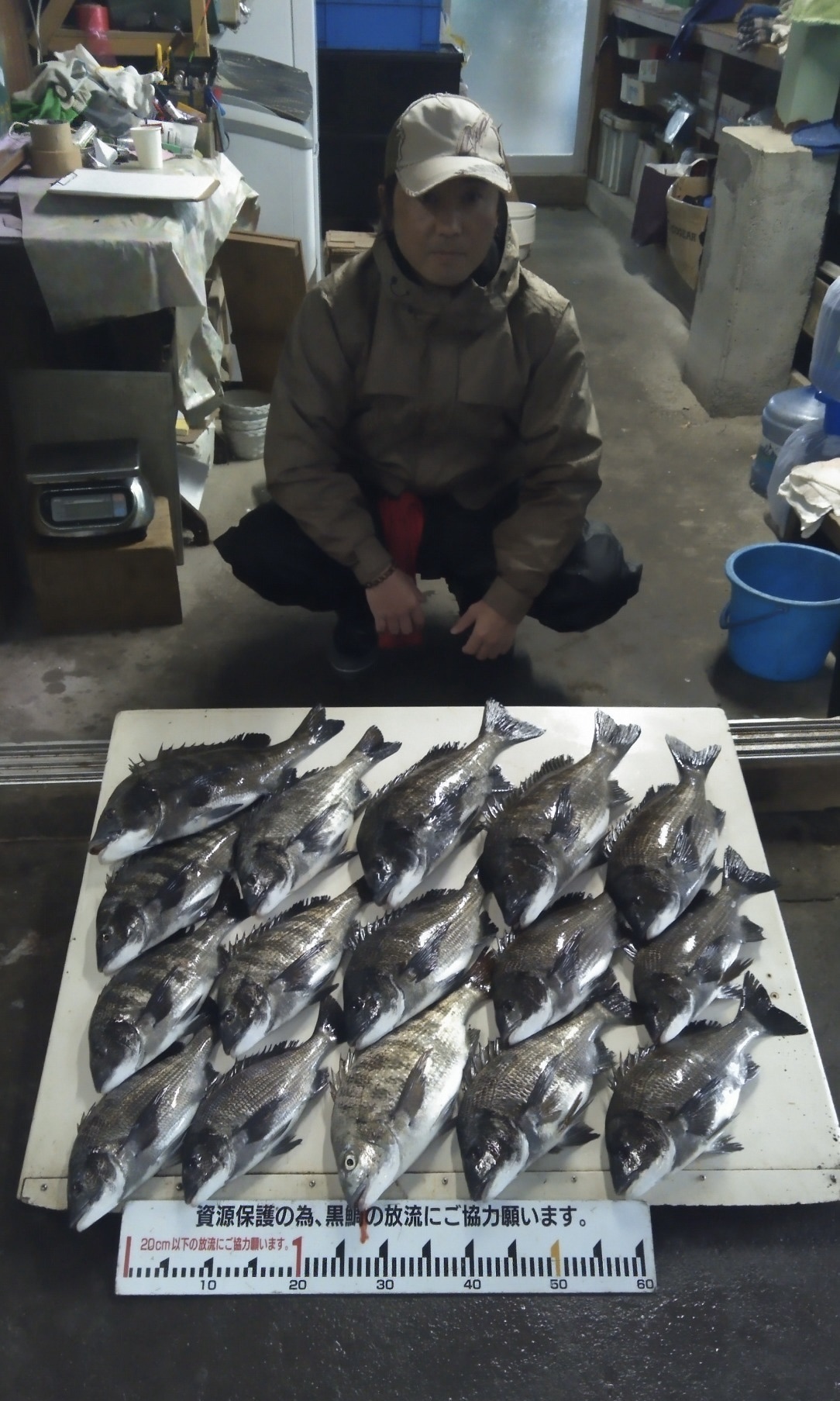 昨日に引き続き折戸で大漁(((o(*゚▽゚*)o)))♡サムネイル