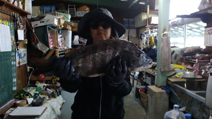 貯木場で年無しが釣れた*\(^o^)/*サムネイル
