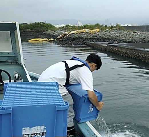 今年最初のクロダイ稚魚放流を実施*\(^o^)/*サムネイル
